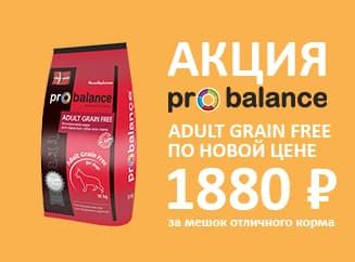 Новая цена на Adult Grain Free! Новая цена на Adult Grain Free!