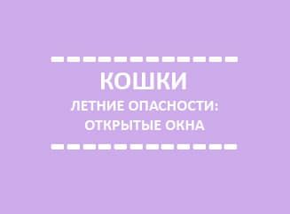 Про кошек и открытые окна Про кошек и открытые окна
