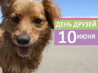 Probalance на "Дне друзей" Probalance на "Дне друзей"