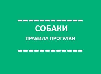 Еще раз о главном: прогулка с собакой Еще раз о главном: прогулка с собакой