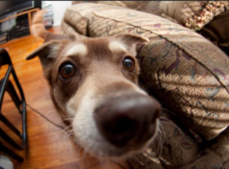 Переезд без паники