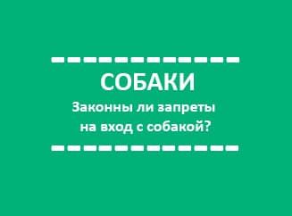 Собаки и общественные места Собаки и общественные места