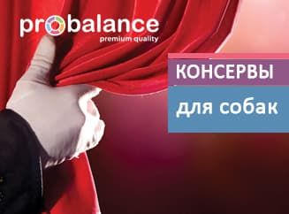 Встречайте! Тройная премьера Встречайте! Тройная премьера