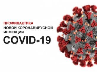 Коронавирус? Без паники! Коронавирус? Без паники!