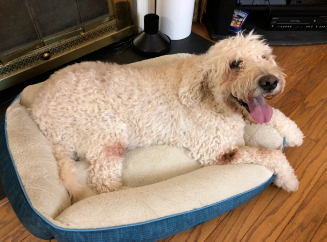 Погода в доме