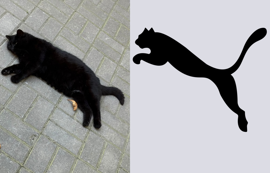 Cat_Probalance.jpg