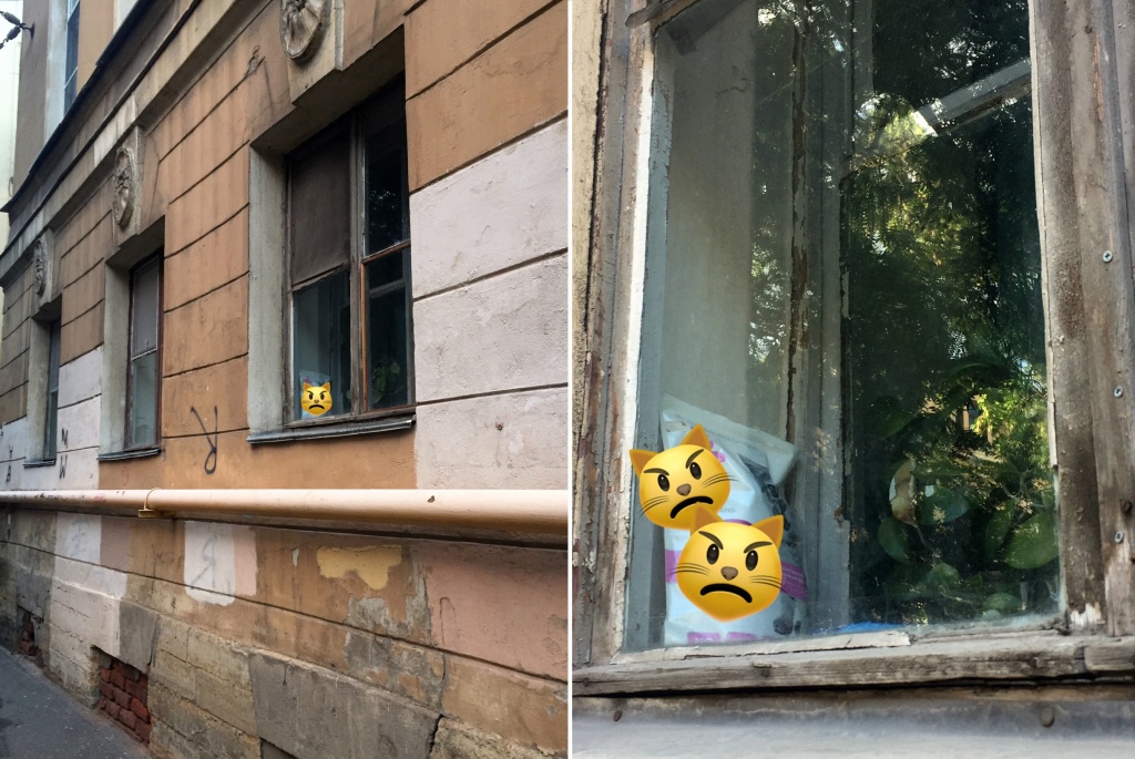 Неправильное хранение корма-2.jpg