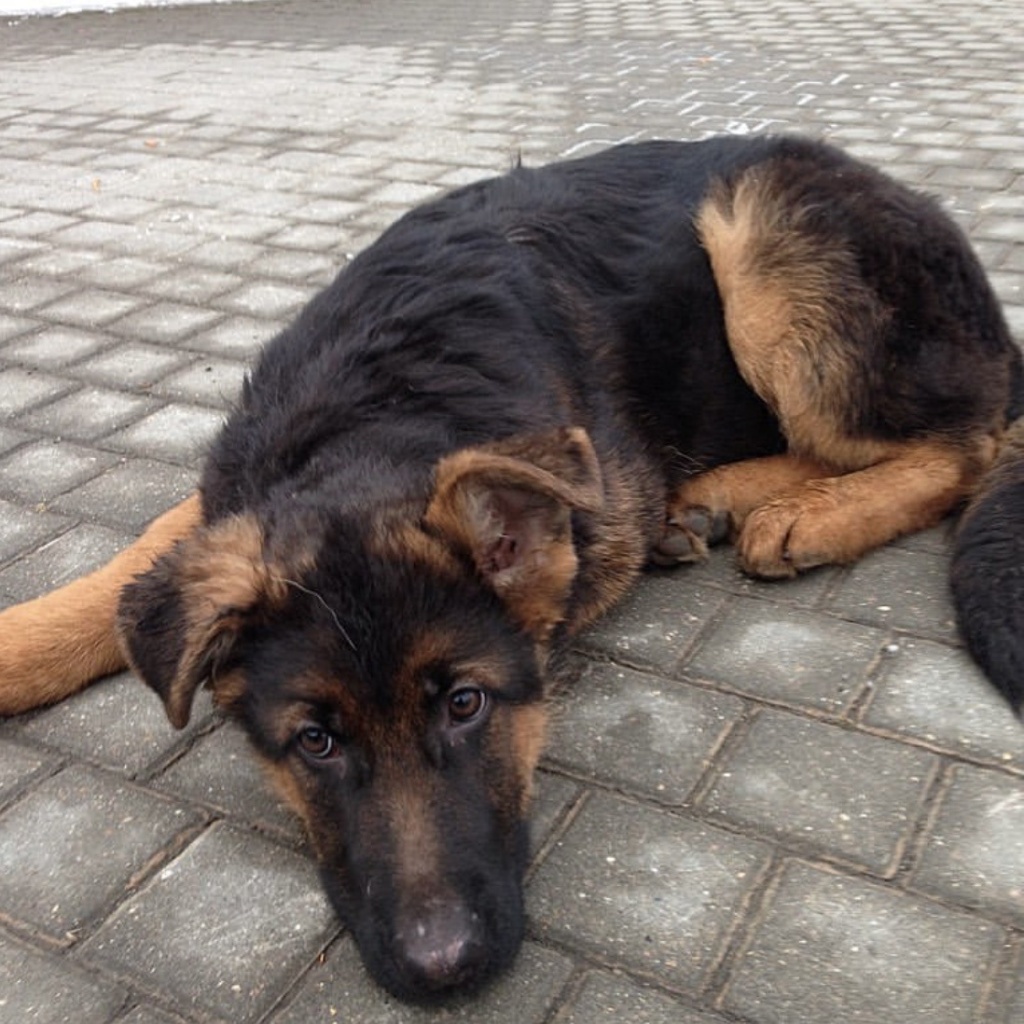 Джек-2_Фото из соцсети певца.jpg