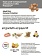 Сухой корм для миниатюрных собак Probalance Immuno Mini, защита иммунитета, 2кг Сухой корм для миниатюрных собак Probalance Immuno Mini, защита иммунитета, 2кг